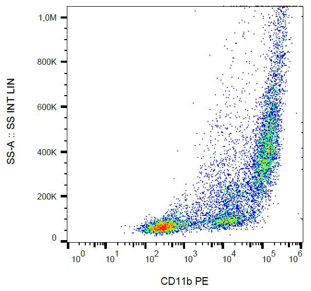 ITGAM / CD11b Antibody - Surface staining of PMA-activated human peripheral blood cells with anti-human CD11b activation epitope (CBRM1/5) PE