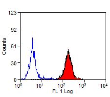 ITGAM / CD11b Antibody - Flow cytometry of bovine peripheral blood monocytes with Mouse anti-Bovine CD11b followed by Goat anti-Mouse IgG:FITC