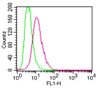 ITGAM / CD11b Antibody - Fig-1: Cell Surface flow analysis of h/m CD11b in Raw cell line using 0.5 µg/10^6 cells. Green represents isotype control; red represents FITC conjugate anti-h/mCD11b antibody (F).