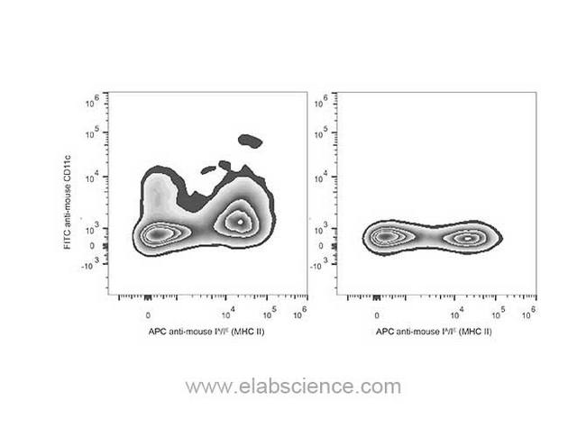 ITGAX / CD11c Antibody