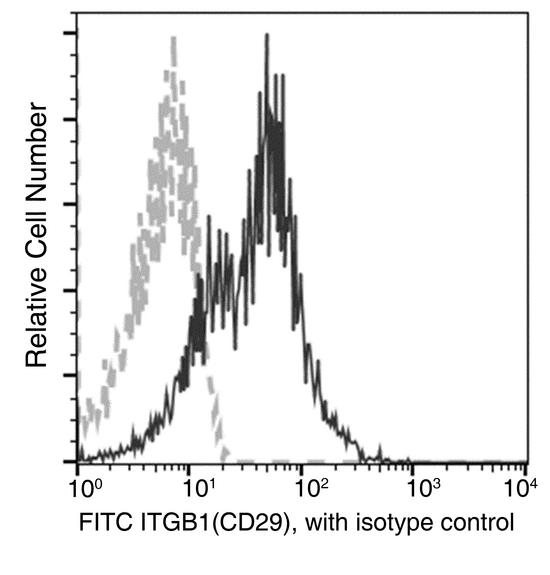 ITGB1 / Integrin Beta 1 / CD29 Antibody - Flow cytometric analysis of Human ITGB1(CD29) expression on human whole blood lymphocytes. Cells were stained with FITC-conjugated anti-Human ITGB1(CD29). The fluorescence histograms were derived from gated events with the forward and side light-scatter characteristics of viable lymphocytes.
