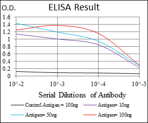 ITGB1 / Integrin Beta 1 / CD29 Antibody - Red: Control Antigen (100ng); Purple: Antigen (10ng); Green: Antigen (50ng); Blue: Antigen (100ng);