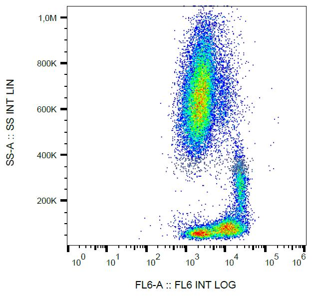 ITGB1 / Integrin Beta 1 / CD29 Antibody - Surface staining of human peripheral blood with anti-human CD29 (MEM-101A) APC. 