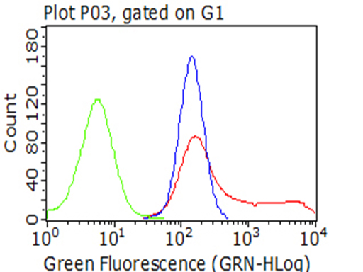 ITGB1 / Integrin Beta 1 / CD29 Antibody - HEK293T cells transfected with eitheroverexpress plasmid(Red),compared to an IgG isotype control. (Green) or empty vector control plasmid(Blue) were immunostained by anti-ITGB1antibody, and then analyzed by flow cytometry. (1:100)