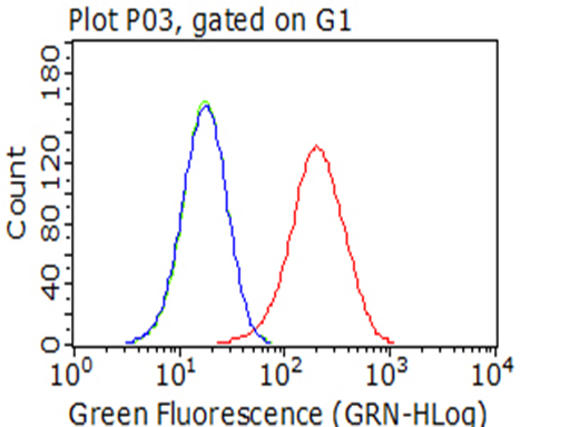 ITGB1 / Integrin Beta 1 / CD29 Antibody - Flow cytometric Analysis of living U-87MG cells, using anti-ITGB1 antibody. (Red), compared to an IgG isotype control. (green), and negative control. (PBS). (Blue). (1:100)
