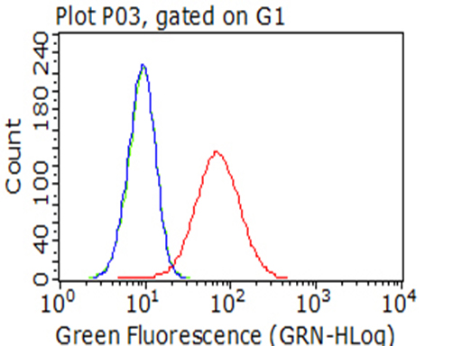 ITGB1 / Integrin Beta 1 / CD29 Antibody - Flow cytometric Analysis of living 786-O cells, using anti-ITGB1 antibody. (Red), compared to an IgG isotype control. (green), and negative control. (PBS). (Blue). (1:100)