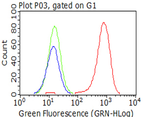 ITGB1 / Integrin Beta 1 / CD29 Antibody - Flow cytometric Analysis of living Hela cells, using anti-ITGB1 antibody. (Red), compared to an IgG isotype control. (green), and negative control. (PBS). (Blue). (1:100)