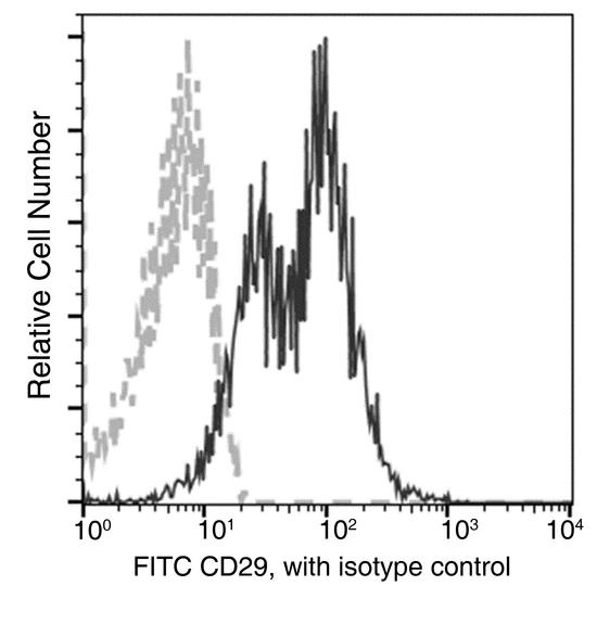 ITGB1 / Integrin Beta 1 / CD29 Antibody - Flow cytometric analysis of Human CD29 expression on human whole blood lymphocytes. Cells were stained with FITC-conjugated anti-Human CD29. The fluorescence histograms were derived from gated events with the forward and side light-scatter characteristics of viable lymphocytes.