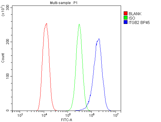 ITGB2 / CD18 Antibody - Flow Cytometry analysis of U20S cells using anti-CD18/ITGB2 antibody. Overlay histogram showing U20S cells stained with anti-CD18/ITGB2 antibody (Blue line). The cells were blocked with 10% normal goat serum. And then incubated with rabbit anti-CD18/ITGB2 Antibody (1µg/10E6 cells) for 30 min at 20°C. DyLight®488 conjugated goat anti-rabbit IgG (5-10µg/10E6 cells) was used as secondary antibody for 30 minutes at 20°C. Isotype control antibody (Green line) was rabbit IgG (1µg/10E6 cells) used under the same conditions. Unlabelled sample (Red line) was also used as a control.