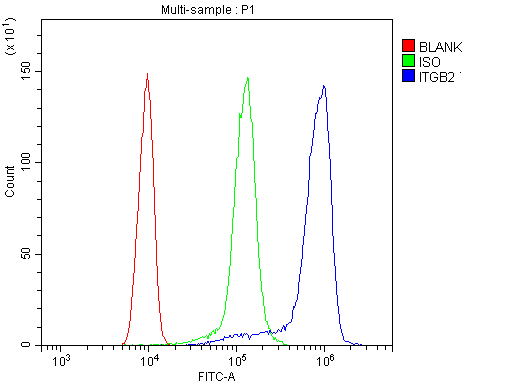 ITGB2 / CD18 Antibody - Flow Cytometry analysis of THP-1 cells using anti-CD18/ITGB2 antibody. Overlay histogram showing THP-1 cells stained with anti-CD18/ITGB2 antibody (Blue line). The cells were blocked with 10% normal goat serum. And then incubated with rabbit anti-CD18/ITGB2 Antibody (1µg/10E6 cells) for 30 min at 20°C. DyLight®488 conjugated goat anti-rabbit IgG (5-10µg/10E6 cells) was used as secondary antibody for 30 minutes at 20°C. Isotype control antibody (Green line) was rabbit IgG (1µg/10E6 cells) used under the same conditions. Unlabelled sample (Red line) was also used as a control.