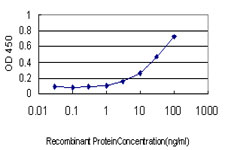 ITGB2 / CD18 Antibody - Detection limit for recombinant GST tagged ITGB2 is approximately 0.3 ng/ml as a capture antibody.