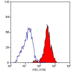 ITGB3 / Integrin Beta 3 / CD61 Antibody - Flow cytometry of porcine peripheral blood platelets with Mouse anti-Porcine CD61:FITC This image was taken for the unconjugated form of this product. Other forms have not been tested.