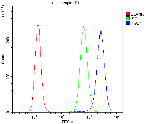 ITGB4 / Integrin Beta 4 Antibody - Flow Cytometry analysis of A431 cells using anti-ITGB4 antibody. Overlay histogram showing A431 cells stained with anti-ITGB4 antibody(Blue line). The cells were blocked with 10% normal goat serum. And then incubated with rabbit anti-ITGB4 Antibody (1µg/10E6 cells) for 30 min at 20°C. DyLight®488 conjugated goat anti-rabbit IgG (5-10µg/10E6 cells) was used as secondary antibody for 30 minutes at 20°C. Isotype control antibody (Green line) was rabbit IgG (1µg/10E6 cells) used under the same conditions. Unlabelled sample (Red line) was also used as a control.