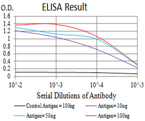 ITGB4 / Integrin Beta 4 Antibody - Black line: Control Antigen (100 ng);Purple line: Antigen (10ng); Blue line: Antigen (50 ng); Red line:Antigen (100 ng)