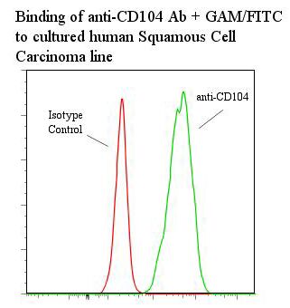 ITGB4 / Integrin Beta 4 Antibody - Flow cytometry of ITGB4 / CD104 / Integrin Beta 4 antibody This image was taken for the unmodified form of this product. Other forms have not been tested.