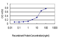 ITGB5 / Integrin Beta 5 Antibody - Detection limit for recombinant GST tagged ITGB5 is approximately 0.3 ng/ml as a capture antibody.