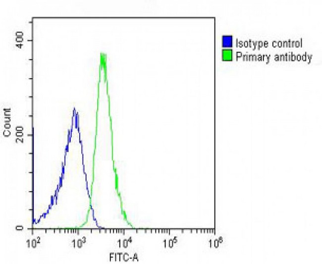 ITIH4 Antibody - Overlay histogram showing U-2OS cells stained with ITIH4 Antibody (C-Term) (green line). The cells were fixed with 2% paraformaldehyde (10 min) and then permeabilized with 90% methanol for 10 min. The cells were then icubated in 2% bovine serum albumin to block non-specific protein-protein interactions followed by the antibody (ITIH4 Antibody (C-Term), 1:25 dilution) for 60 min at 37°C. The secondary antibody used was Goat-Anti-Rabbit IgG, DyLight® 488 Conjugated Highly Cross-Adsorbed at 1/200 dilution for 40 min at 37°C. Isotype control antibody (blue line) was rabbit IgG (1µg/1x10^6 cells) used under the same conditions. Acquisition of >10, 000 events was performed.