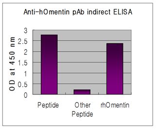 ITLN1 / Omentin Antibody - Indirect ELISA of recombinant humen Omentin and synthetic human Nampt peptide (control) using anti-Omentin (human), pAb at 1:50,000 dilution.
