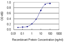 ITPKB Antibody - Detection limit for recombinant GST tagged ITPKB is 0.1 ng/ml as a capture antibody.