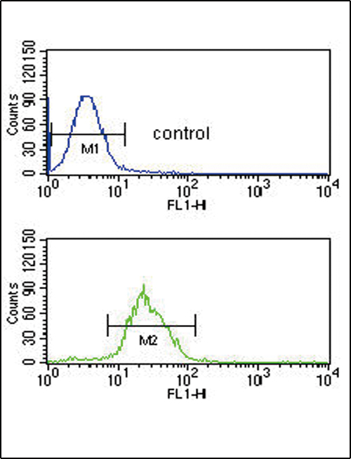 ITPKC Antibody - ITPKC Antibody flow cytometry of CEM cells (bottom histogram) compared to a negative control cell (top histogram). FITC-conjugated goat-anti-rabbit secondary antibodies were used for the analysis.