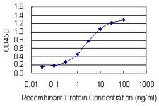 ITSN1 / ITSN Antibody - Detection limit for recombinant GST tagged ITSN1 is 0.03 ng/ml as a capture antibody.