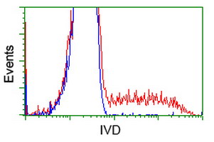 IVD Antibody - HEK293T cells transfected with either overexpress plasmid (Red) or empty vector control plasmid (Blue) were immunostained by anti-IVD antibody, and then analyzed by flow cytometry.