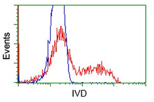 IVD Antibody - HEK293T cells transfected with eitheroverexpress plasmid(Red) or empty vector control plasmid(Blue) were immunostained by anti-IVD antibody, and then analyzed by flow cytometry.