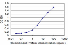 JAG2 / Jagged-2 Antibody - Detection limit for recombinant GST tagged JAG2 is approximately 0.3 ng/ml as a capture antibody.