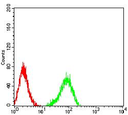 JAM2 Antibody - Flow cytometric analysis of HL-60 cells using *** mouse mAb (green) and negative control (red).