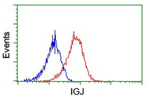JCHAIN / Ig J Chain Antibody - Flow cytometry of HeLa cells, using anti-IGJ antibody (Red), compared to a nonspecific negative control antibody (Blue).