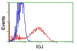 JCHAIN / Ig J Chain Antibody - HEK293T cells transfected with either overexpress plasmid (Red) or empty vector control plasmid (Blue) were immunostained by anti-IGJ antibody, and then analyzed by flow cytometry.