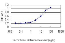 JMJD1C Antibody - Detection limit for recombinant GST tagged JMJD1C is approximately 0.3 ng/ml as a capture antibody.