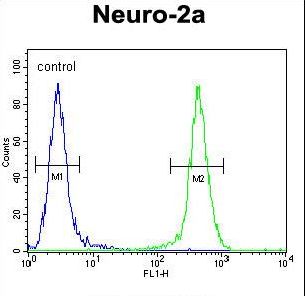 JOSD2 Antibody - JOSD2 Antibody flow cytometry of Neuro-2a cells (right histogram) compared to a negative control cell (left histogram). FITC-conjugated goat-anti-rabbit secondary antibodies were used for the analysis.