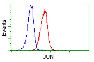 JUN / c-Jun Antibody - Flow cytometry of Jurkat cells, using anti-JUN antibody (Red), compared to a nonspecific negative control antibody (Blue).