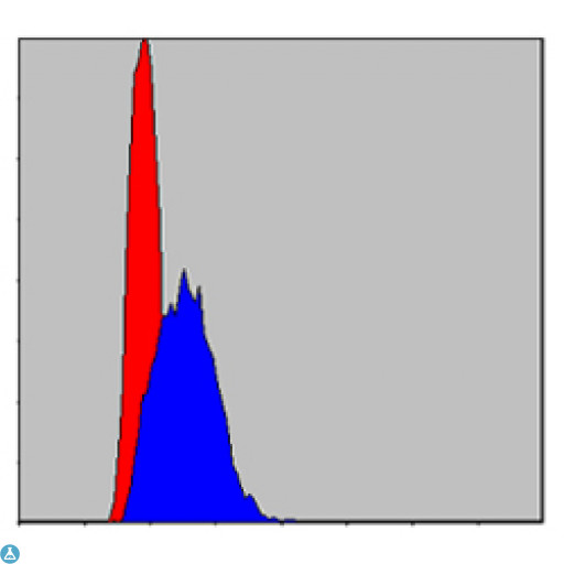 JUN / c-Jun Antibody - Flow cytometric (FCM) analysis of HepG2 cells using AP-1 Monoclonal Antibody (blue) and negative control (red).