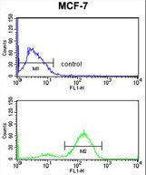 JUP/CTNNG/Junction Plakoglobin Antibody - JUP Antibody flow cytometry of MCF-7 cells (bottom histogram) compared to a negative control cell (top histogram). FITC-conjugated goat-anti-rabbit secondary antibodies were used for the analysis.