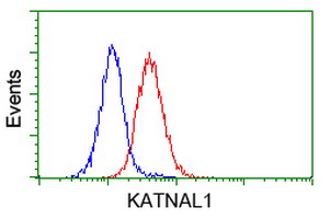 KATNAL1 Antibody - Flow cytometry of Jurkat cells, using anti-KATNAL1 antibody (Red), compared to a nonspecific negative control antibody (Blue).