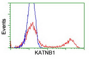 KATNB1 Antibody - HEK293T cells transfected with either overexpress plasmid (Red) or empty vector control plasmid (Blue) were immunostained by anti-KATNB1 antibody, and then analyzed by flow cytometry.