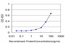 KCNE1 / MinK Antibody - Detection limit for recombinant GST tagged KCNE1 is approximately 3 ng/ml as a capture antibody.