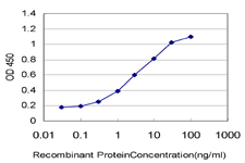 KCNJ10 / SESAME / KIR4.1 Antibody - Detection limit for recombinant GST tagged KCNJ10 is approximately 0.03 ng/ml as a capture antibody.