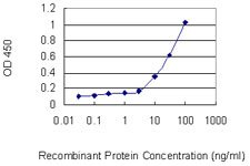 KCNJ15 / KIR4.2 Antibody - Detection limit for recombinant GST tagged KCNJ15 is 3 ng/ml as a capture antibody.