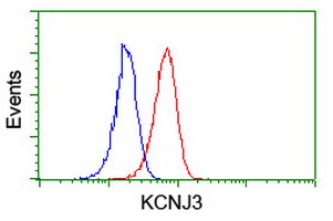KCNJ3 / GIRK1 Antibody - Flow cytometry of Jurkat cells, using anti-KCNJ3 antibody (Red), compared to a nonspecific negative control antibody (Blue).