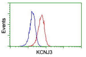 KCNJ3 / GIRK1 Antibody - Flow cytometry of Jurkat cells, using anti-KCNJ3 antibody (Red), compared to a nonspecific negative control antibody (Blue).