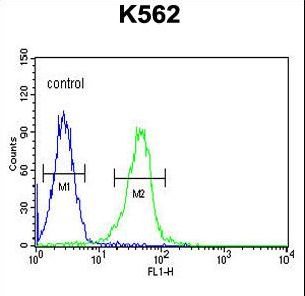 KCNJ6 / GIRK2 Antibody - KCNJ6 Antibody flow cytometry of K562 cells (right histogram) compared to a negative control cell (left histogram). FITC-conjugated goat-anti-rabbit secondary antibodies were used for the analysis.
