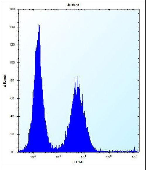 KCTD10 Antibody - KCTD10 Antibody flow cytometry of Jurkat cells (right histogram) compared to a negative control cell (left histogram). FITC-conjugated donkey-anti-rabbit secondary antibodies were used for the analysis.