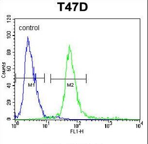 KCTD12 Antibody - KCTD12 Antibody flow cytometry of T47D cells (right histogram) compared to a negative control cell (left histogram). FITC-conjugated goat-anti-rabbit secondary antibodies were used for the analysis.