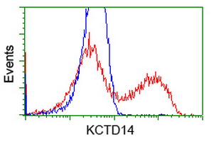KCTD14 Antibody - HEK293T cells transfected with either overexpress plasmid (Red) or empty vector control plasmid (Blue) were immunostained by anti-KCTD14 antibody, and then analyzed by flow cytometry.