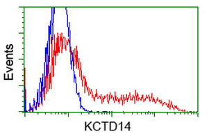 KCTD14 Antibody - HEK293T cells transfected with either overexpress plasmid (Red) or empty vector control plasmid (Blue) were immunostained by anti-KCTD14 antibody, and then analyzed by flow cytometry.