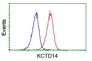 KCTD14 Antibody - Flow cytometry of Jurkat cells, using anti-KCTD14 antibody (Red), compared to a nonspecific negative control antibody (Blue).