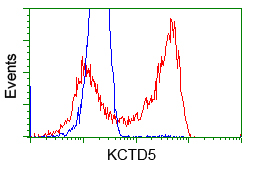 KCTD5 Antibody - HEK293T cells transfected with either pCMV6-ENTRY KCTD5 (Red) or empty vector control plasmid (Blue) were immunostained with anti-KCTD5 mouse monoclonal, and then analyzed by flow cytometry.